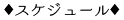 スケジュール